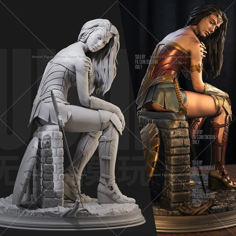 1/24 1/18 Scale DC Wonder Woman Diana Prince Superhero Classic Red Blue Battle Suit Injured Version GK 3D Resin Un-panited Model