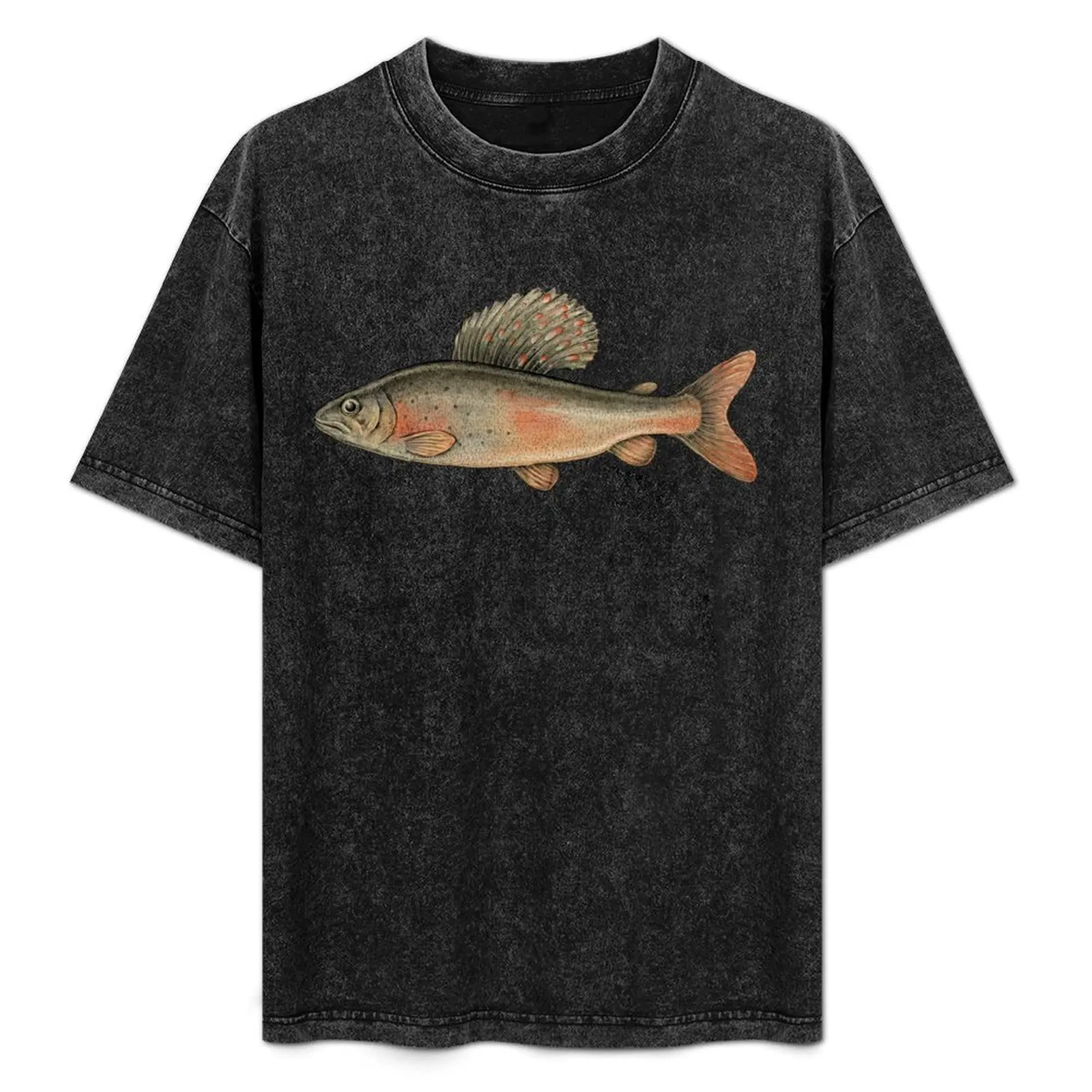 

Arctic Grayling T-Shirt Creative Graphic Tee Shirt