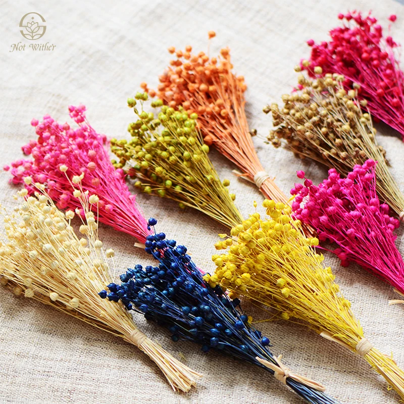 

Natural Dried Flower Colored Acacia Bean Preserved Flower Wedding Christmas Decoration Nordic Home Decor Bouquet Day Flowers