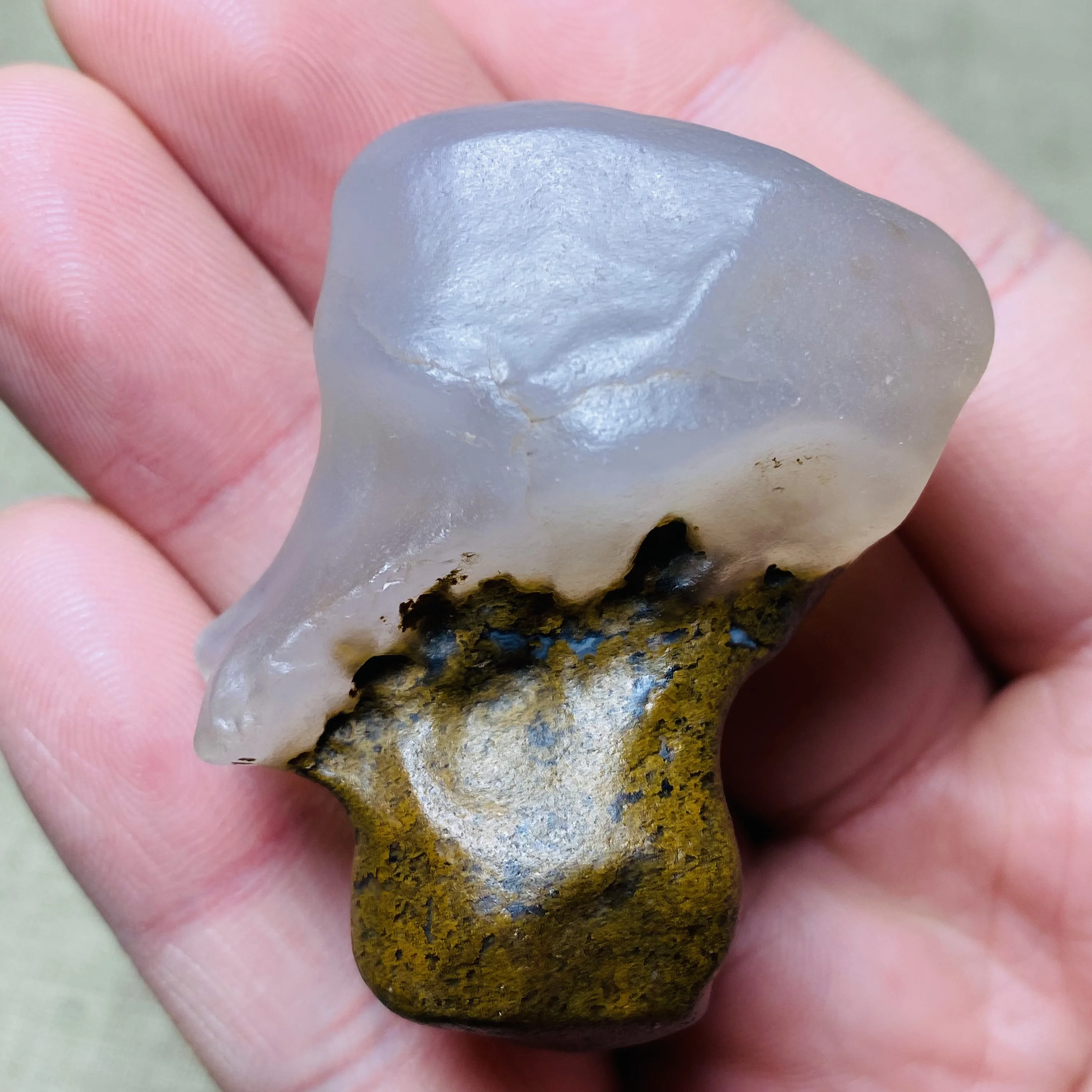 Natural Two Color Symbiosis Agate Palm Stone White Yellow Raw Mineral Specimen Reiki Healing Crystal