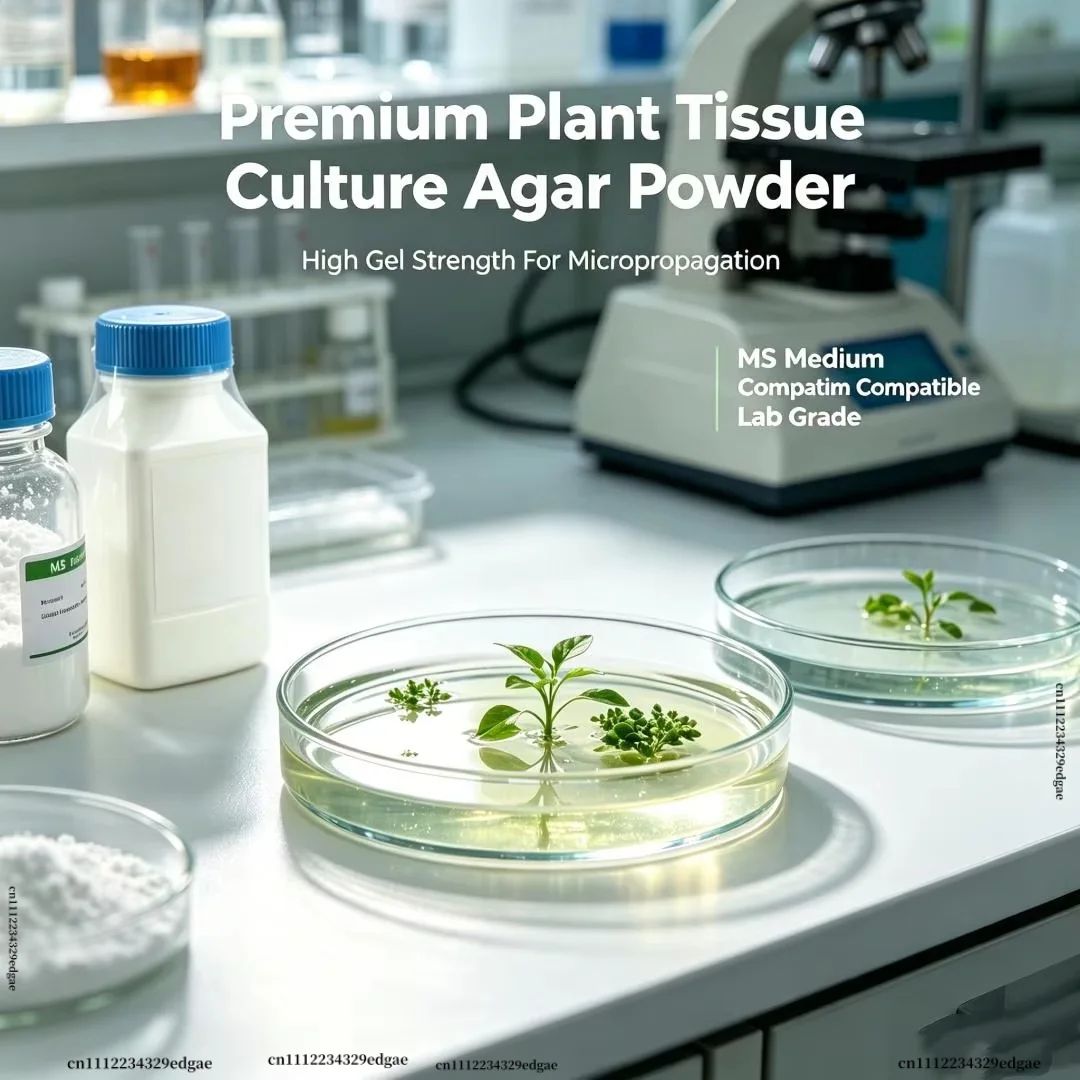Premium High Gel Strength Agar Powder For Garden Plant Propagation Growing Additive