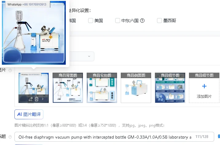 Oil-Free Diaphragm Vacuum Pump GM-0.33A/1.0A/0.5B with Interception Bottle for Laboratory Air Extraction Filter Pump