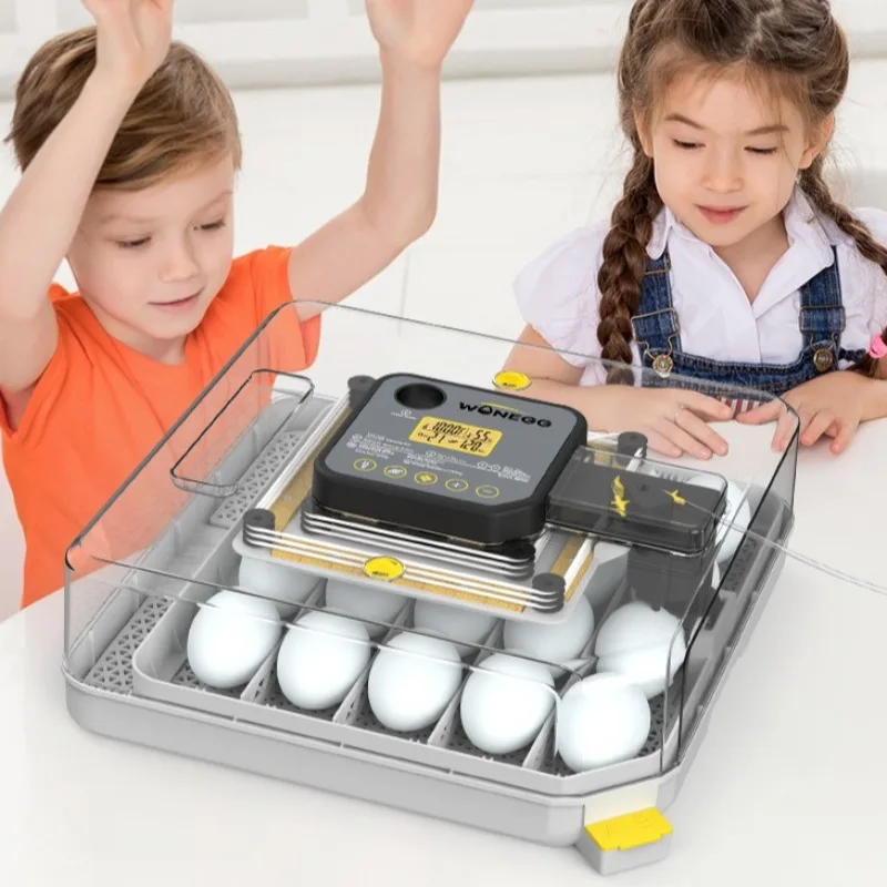 

Intelligent Incubator for Chicken/duck/goose/quail Eggs Auto-turing-over-eggs Integrated Brooding and Hatching Machine