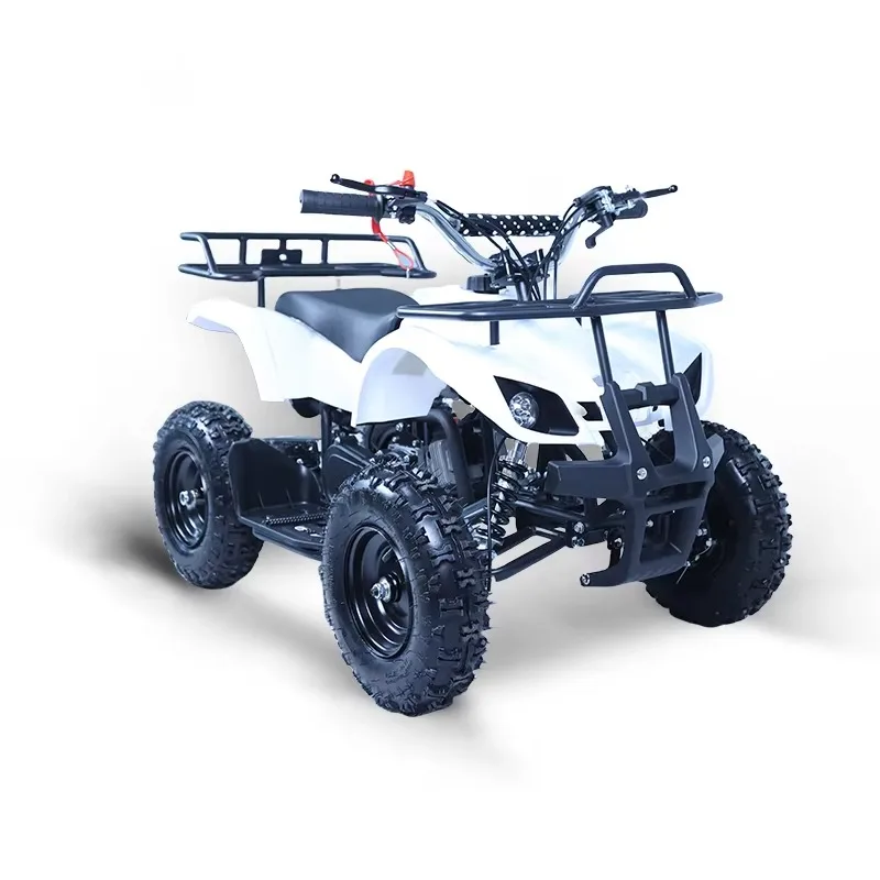 49cc Mini ATV Kids Quad Bike 2 Stroke Petrol Powered 4 Wheeler Cuatrimoto for Child Off-Road Sport Outdoor Ride On Toy
