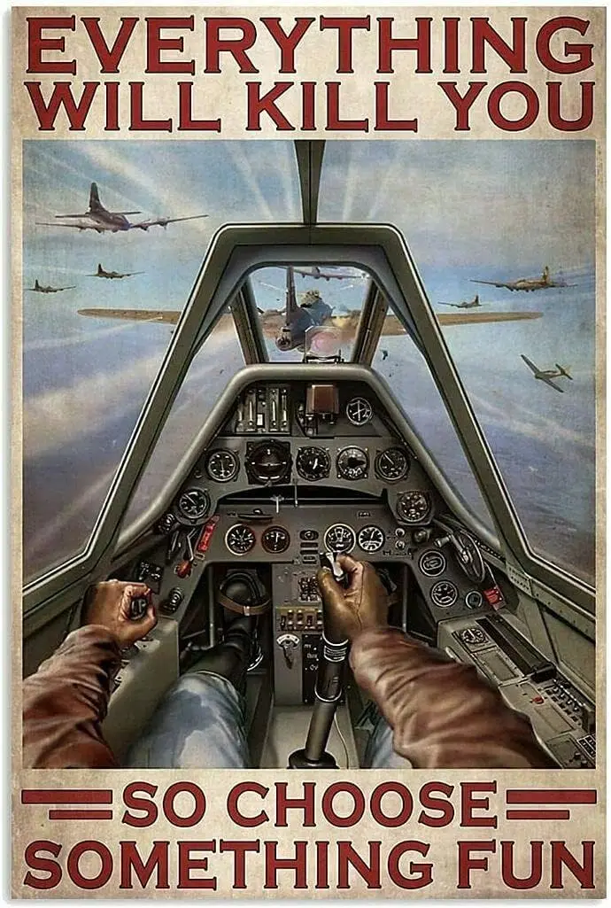 Aircraft Fighter Everything Will Kill You So Choose Something Fun Funny Poster Metal Tin Sign 8X12 Inch sign