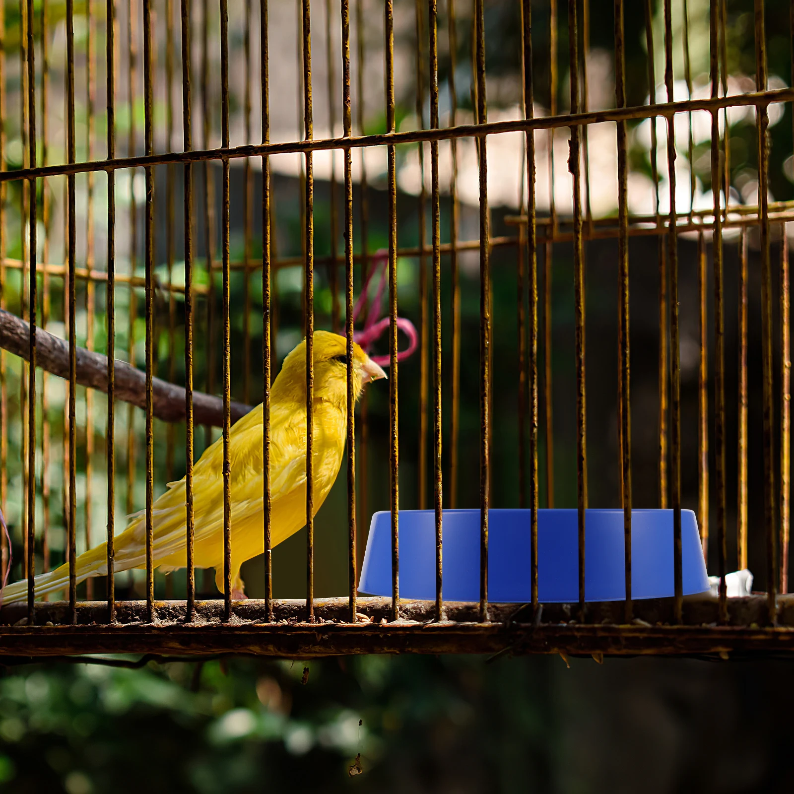 

4Pcs Plastic Pigeon Nests Bird Breeding Nests Egg Laying Basins Sturdy Stable Comfortable Safe Pigeon Hatching Bowls