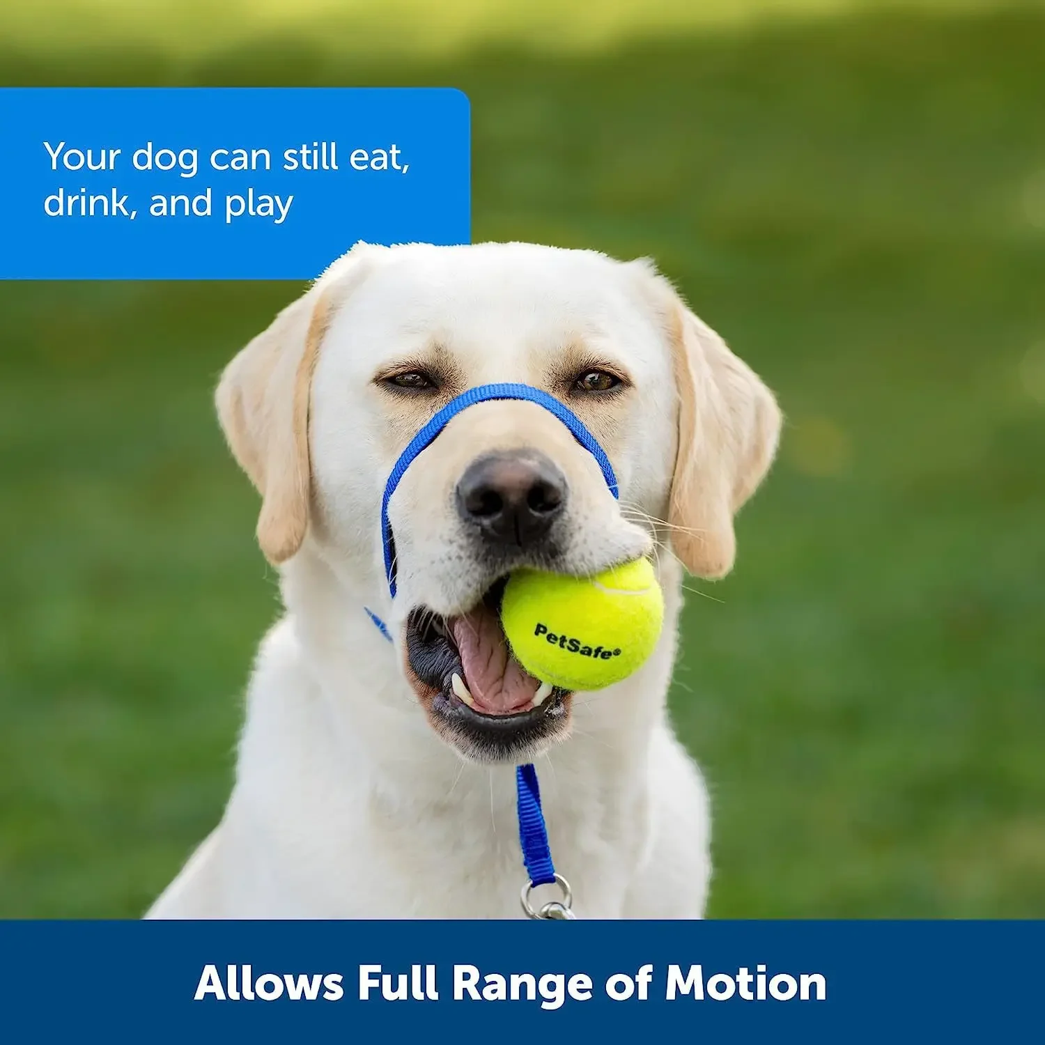 1.5m Adjustable Nylon Dog Muzzle Anti-barking Anti-bite Harness Head Collar Muzzle Dog Halter Training Leash Leader Collar