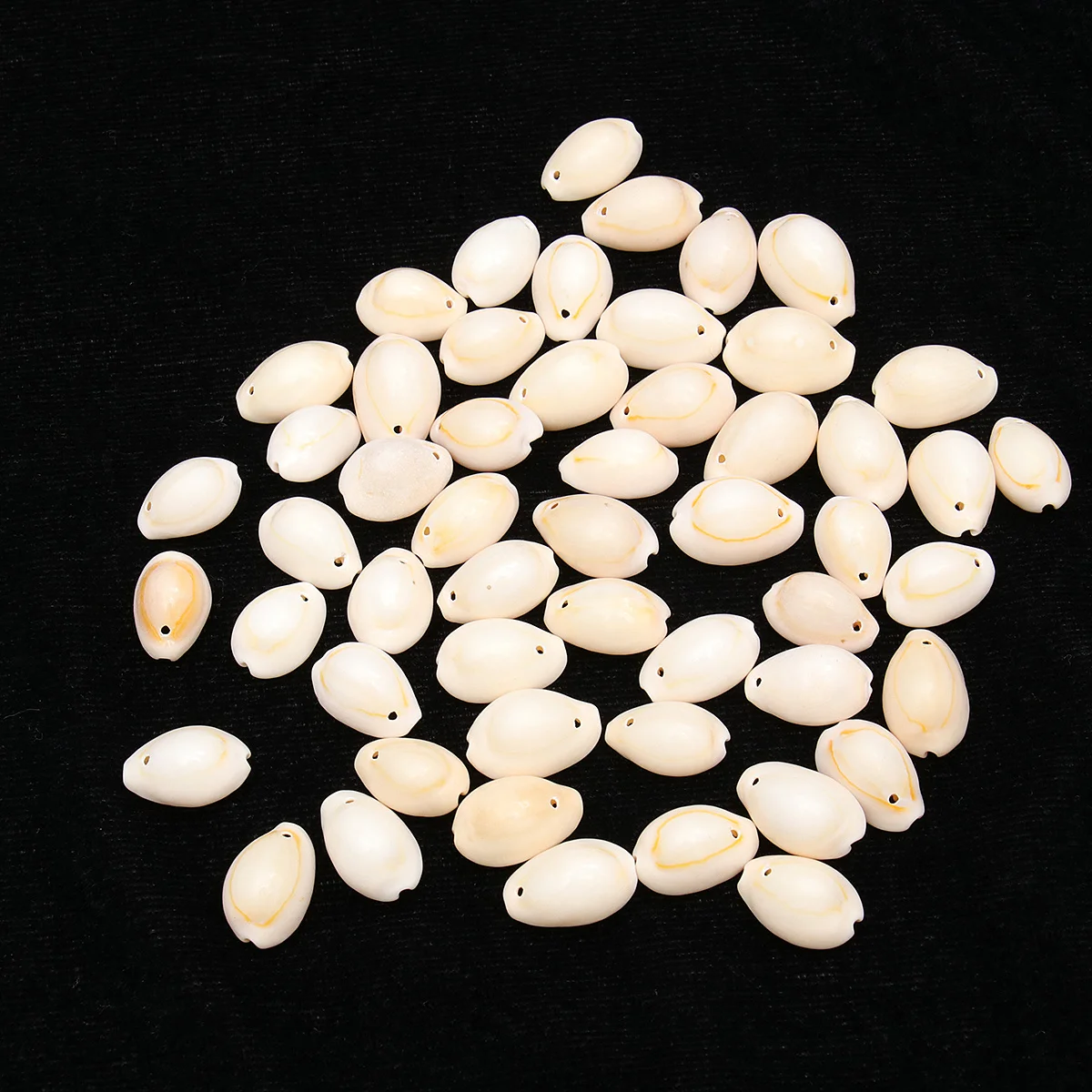 

50Pcs Conch Pendant Natural Sea Snail Shell Single-Opening 1.6cm DIY Necklace Earring Accessories Hanging Decoration Yellow