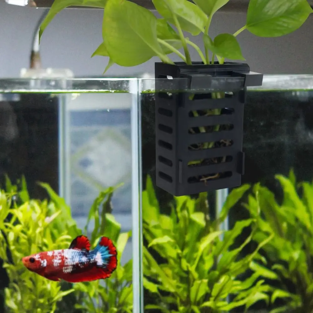 Aquarium Fish Tank Plant Holder with Hooks and Suction Cups for Emersed Plants, Suitable for Aquatic Plant Cultivation