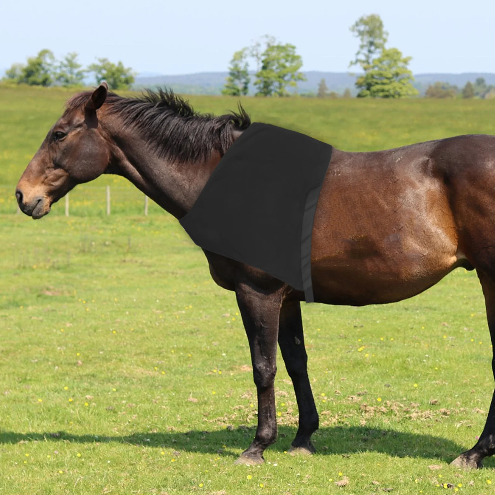 

Horse Back Protector High Elastic Spandex Lightweight Vest For Shoulder Neck Uv Shield Breathable Anti-Rub Guard Outdoor