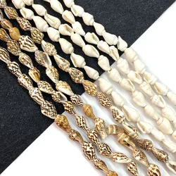 Natural Shell Conch Beads Raw Flesh Color Shell Polished Straight Hole Beads for Jewelry Making DIY Pendant Bracelet Accessories