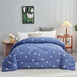 Thickened Spring Warm Autumn Quilt Warm Bedding in Autumn and Winter The Four Seasons Polyester Fibre Quilt