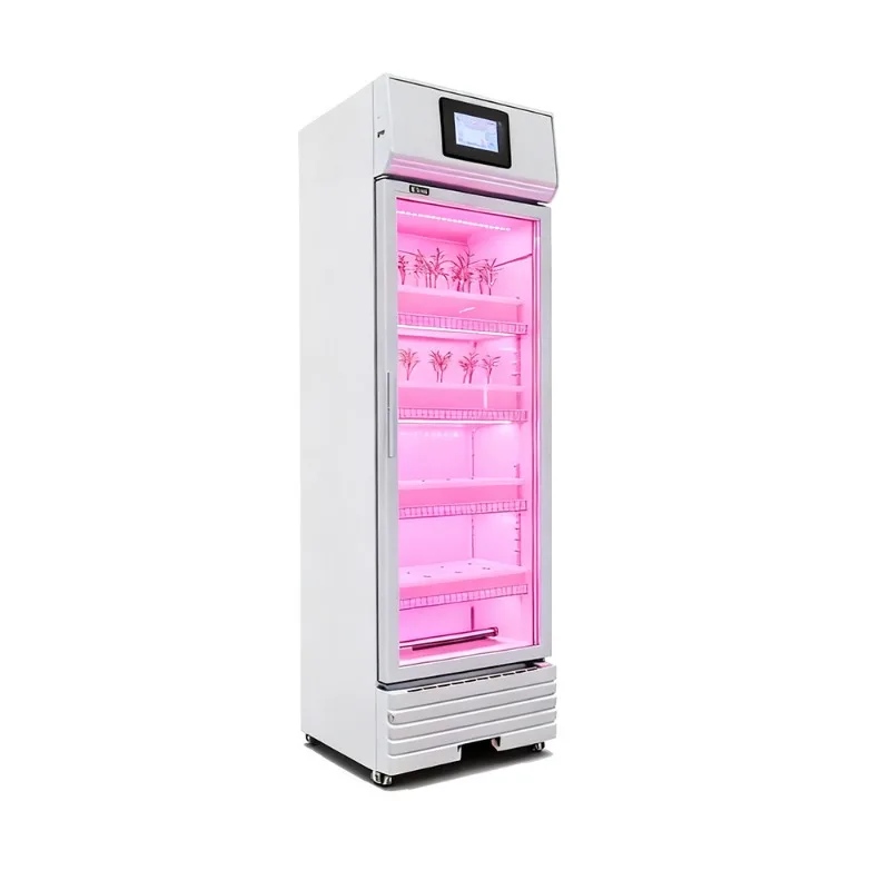 

School Science and Technology Research Experience Hydroponic Vegetable Growing Machine