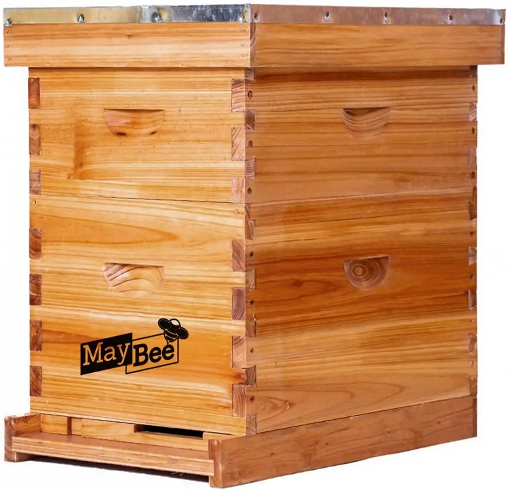 8 Frame Bee Hives Supplies Starter Kit Honey Bee Hive Beginner Includes 1 Deep Bee Boxes 1 Super Beehive Frames Foundation