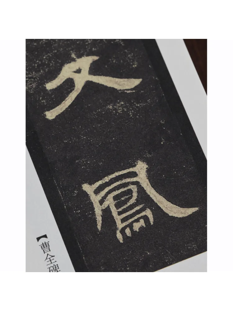 Book-Winshare Zhiyong's True Handwritten Thousand Character Essay Ink Copy Chinese Classic Inscriptions Companion Series
