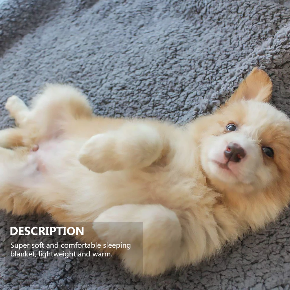 

2Pcs Pet Blanket Wool Warm Sleeping Mat Soft Comfortable Quilt for Dogs Cats Lightweight Pet Bed Cover Pets Blanket