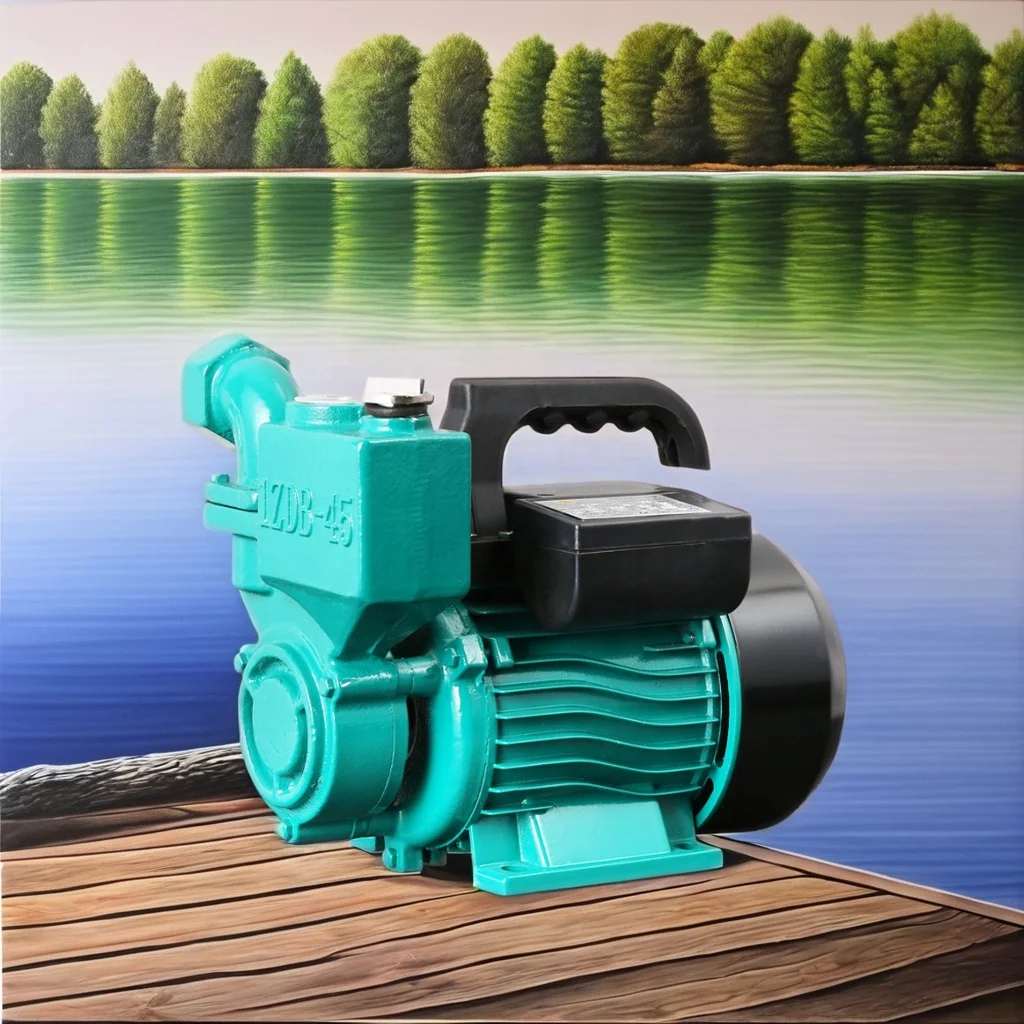 High Efficiency Cast Iron Self-priming Pump Single Stage Electric Booster Pump 0.75kw Motor Powered Centrifugal Theory Low High