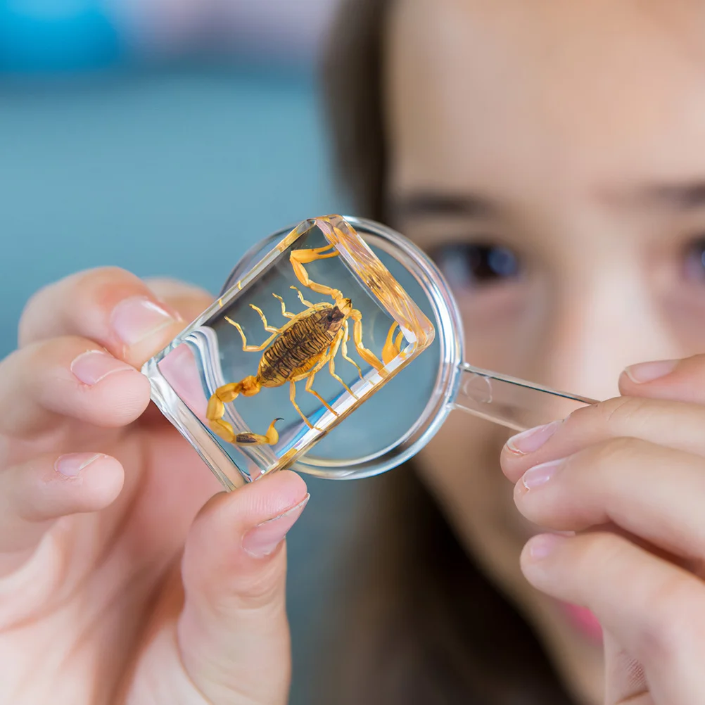 

2Pcs Optical Convex Lens High Precision Glass Lenses for Physics Experiments Teaching Tools Science Projects Classroom