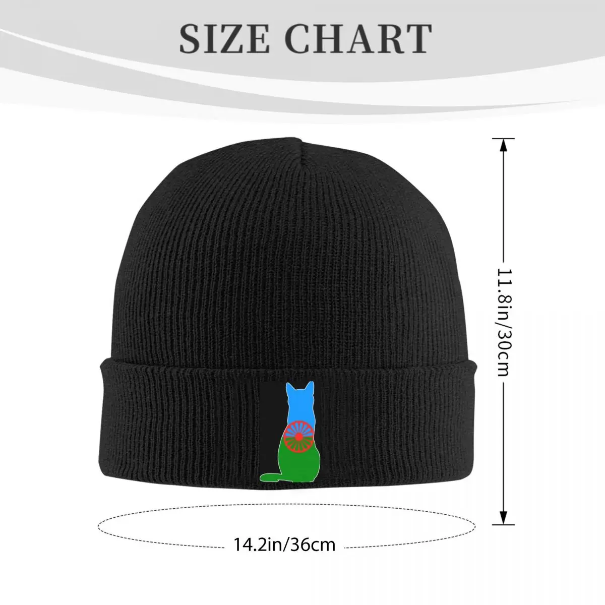 Romany Gypsy Flag Warm Knitted Cap Hip Hop Bonnet Hat Autumn Winter Outdoor Beanies Hats for Unisex Adult