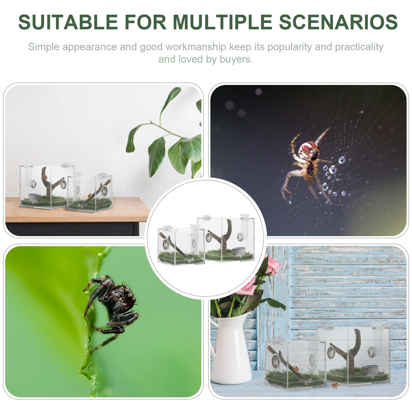 

2Pcs Jumping Spider Enclosure Box Clear Acrylic Habitat for Tarantula Scorpion Cricket Snail Reptile Breeding Feeding Case