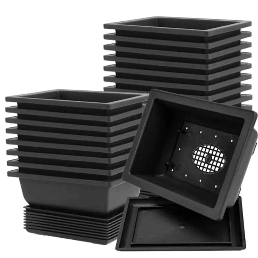 

Rectangular Bonsai Pots 9 Inch Training Planters with Drainage Mesh and Humidity Trays