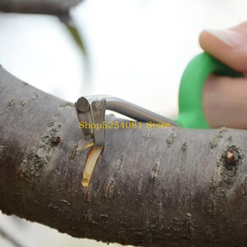 AXYC Bequeme Ringe Bellenschneider Gürtelschere für effektives Baummanagement