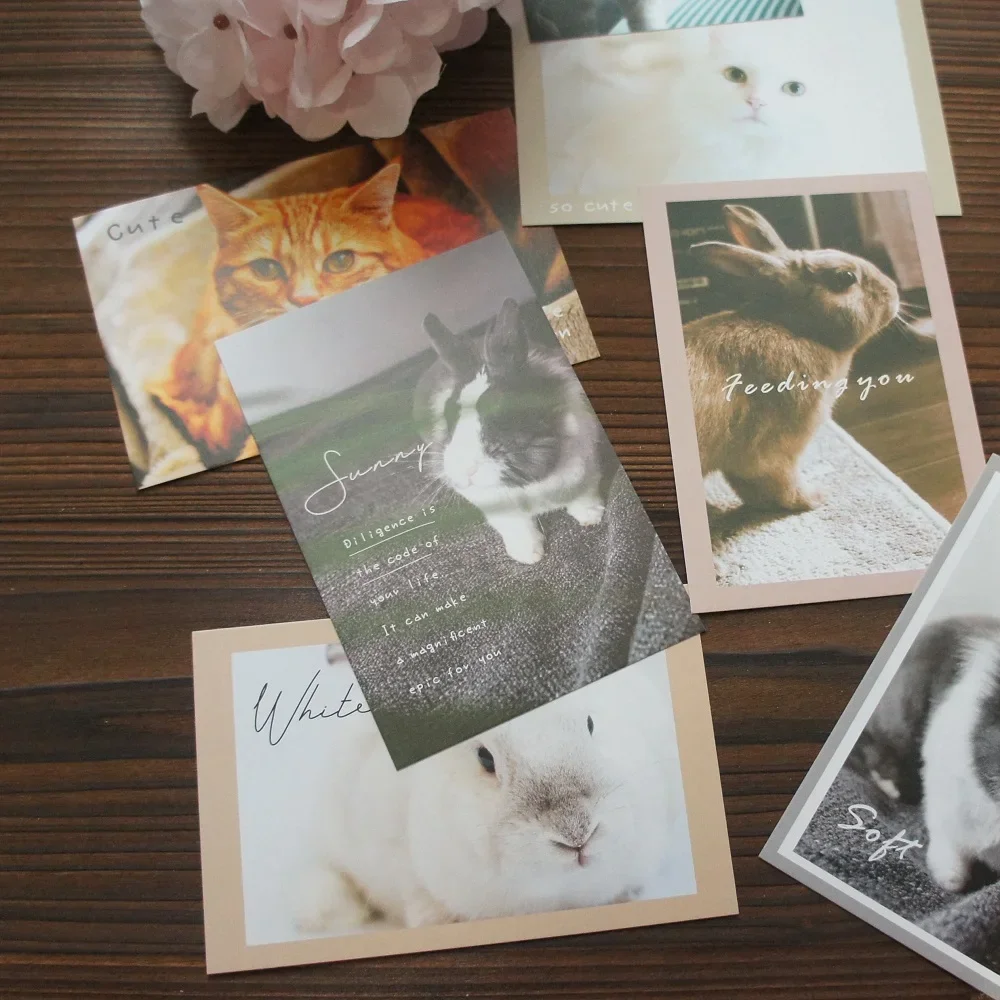 

15pcs Pet Photos Cat Rabbit Dog Hedgehog hamster Design As Post Greeting Gift Card Party Invitation Scrapbooking Use