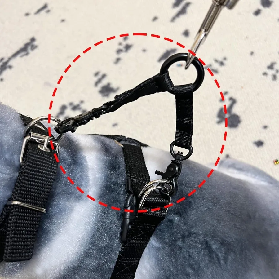 مقود كلب بمشبك مزدوج للكلاب، خطاف مزدوج الرأس لسلامة الحيوانات الأليفة، مقرنة ثنائية الاتجاه مع مشبك دوار مطلي بالنخيل