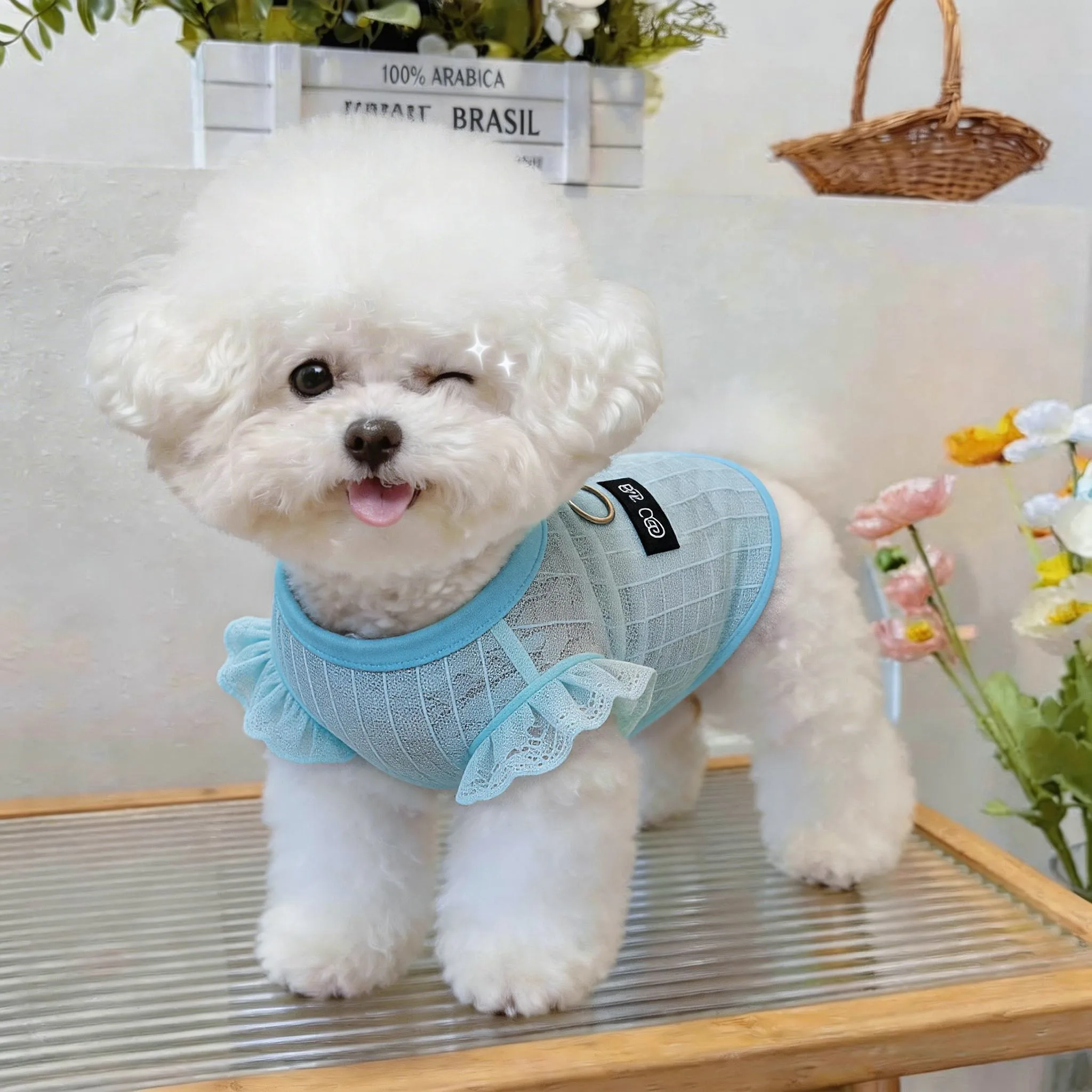 Cartoon Pattern Pet Mosquito Repellent Cover Garment  Summer Breathable Dog Clothes Teddy Mesh Four Leg Clothes