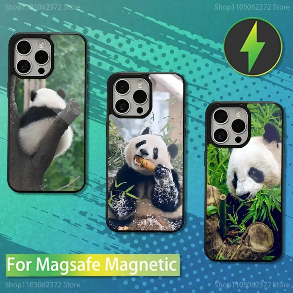 

Cute F-Fubao Panda Animal Phone Case For iPhone 16,15,14,13,12,11,Pro,Max,Plus,Mini,Magsafe,Magnetic Wireless Charging Case