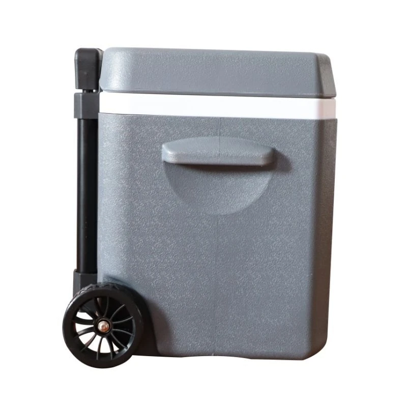 Refrigerador de plástico para exteriores, caja aislada con ruedas para el hogar, caja de mantenimiento fresco montada en el coche, varilla de tracción, caja refrigerada, 18l