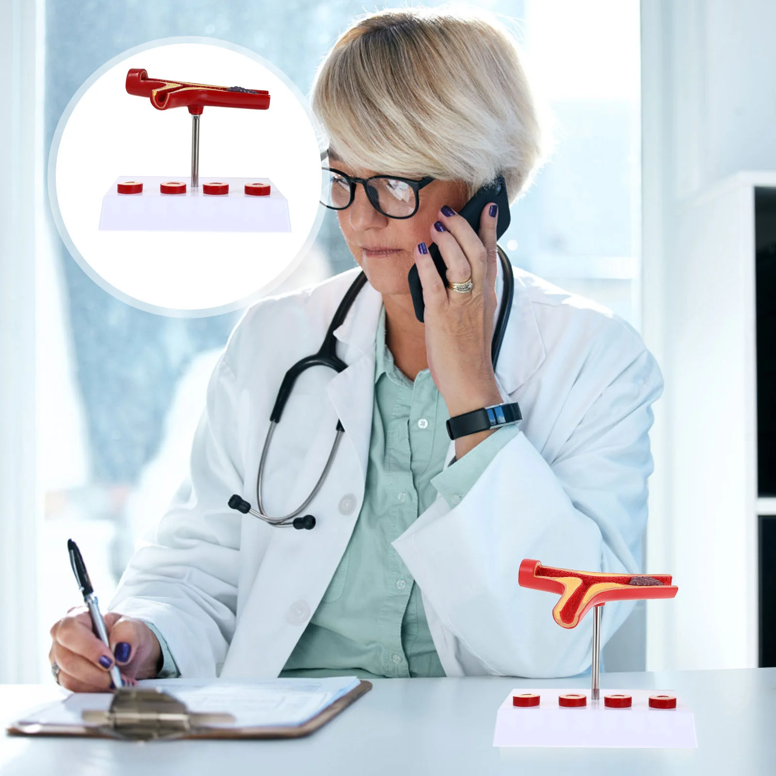 Vascular Model Atherosclerosis Teaching Cardiovascular Display Head Pvc Hospital