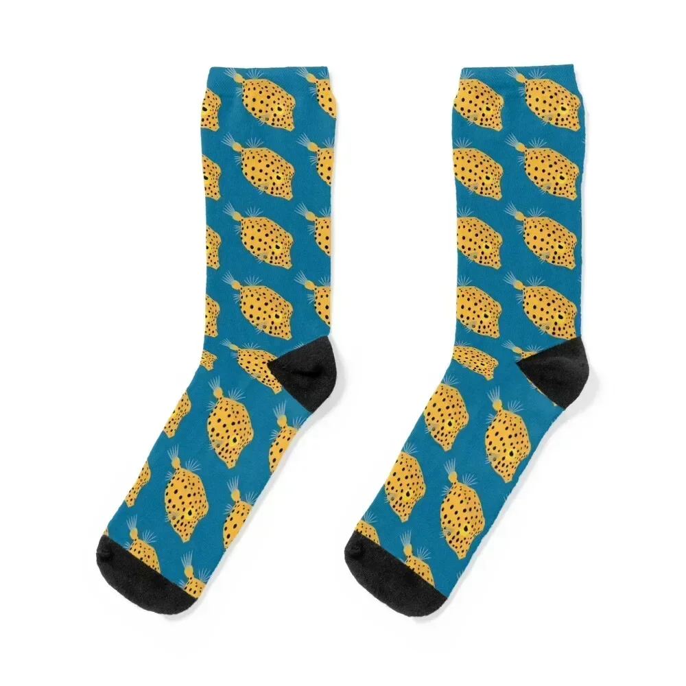 

Boxfish Socks happy man essential valentine gift ideas Men Socks Luxury Brand Women's