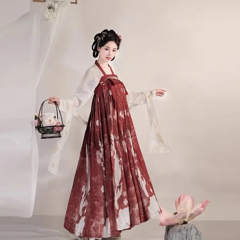 Hanfu الأصلي المصنوع يدويًا - مجموعة Tang Style Ruqun للنساء أزياء الهالوين الجنية مع التطريز الملابس الصينية التقليدية