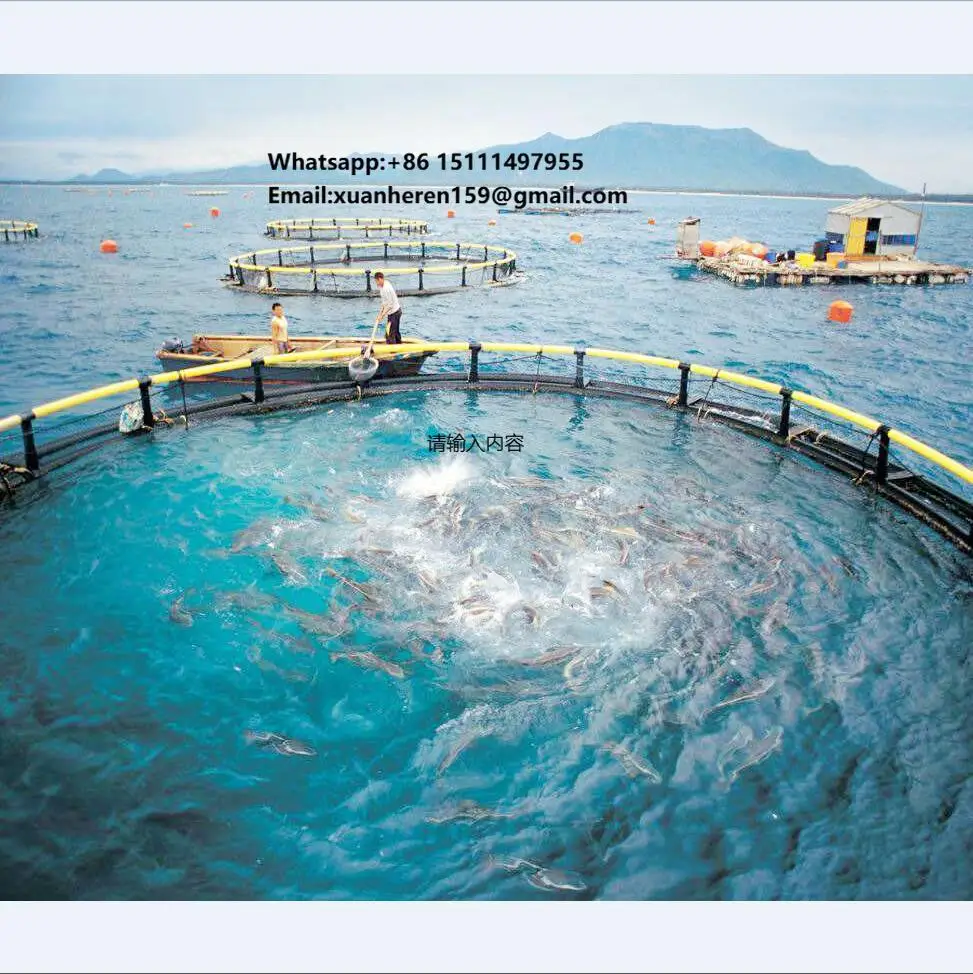 

Deep Sea Fishing Net Farming Cage