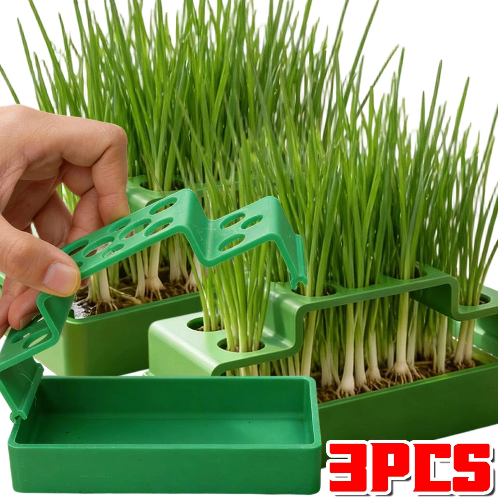 Maceta Hidropónica para Cultivo de Cebolletas, Ajos y Brotes, Caja de Cultivo Hidropónico para Semillas