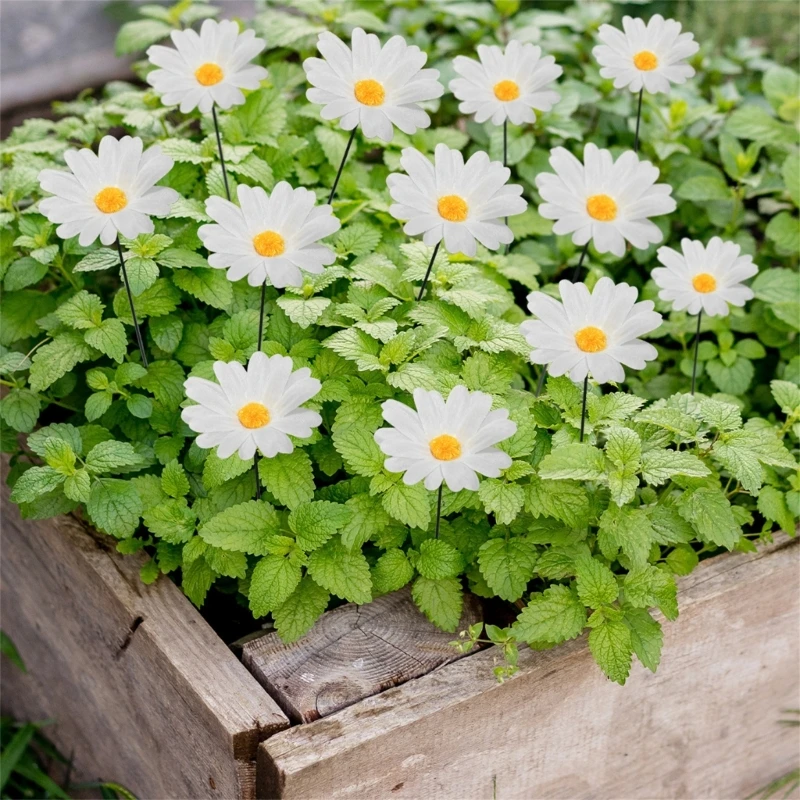 20 pz. Interni Esterni Pali da giardino Decorazione Fiore Cortile Pali Prato Pathway Ornamenti Bastone per vaso