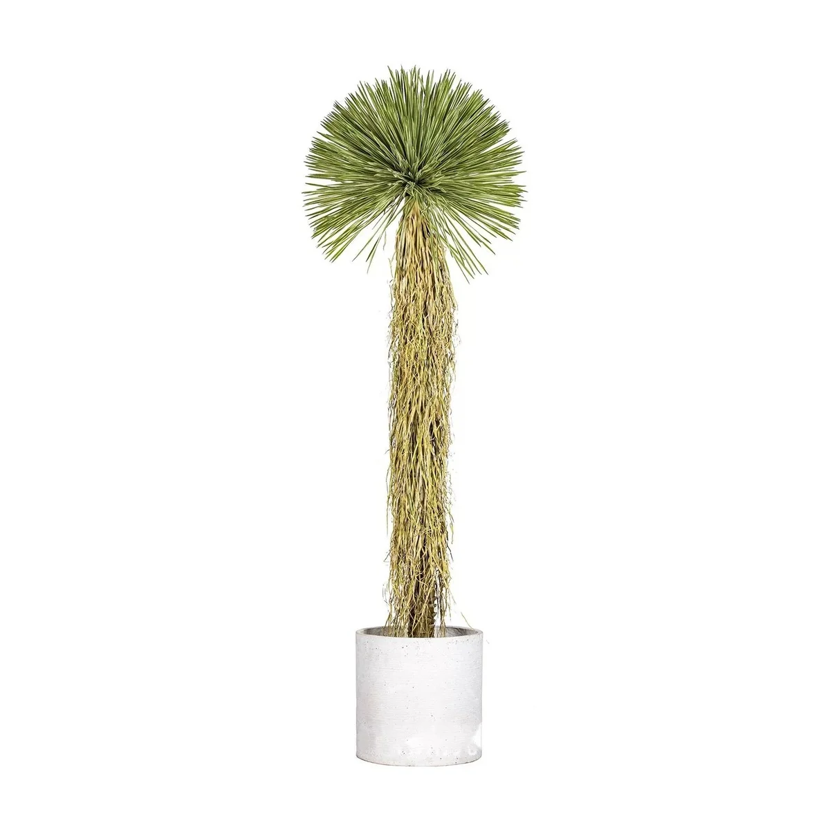 Artificial Dracaena Tree 170cm Faux Yucca Plant Lifelike Sword Leaves with White Planter Indoor Outdoor Home Office Decor