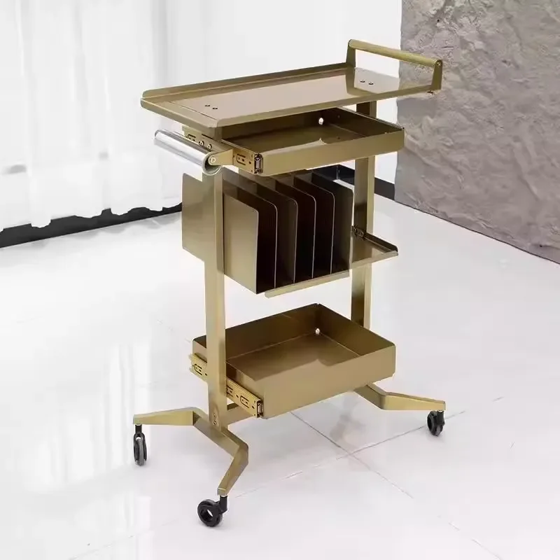 Modern Stylish Stainless Steel 4 Wheel Beauty Cart Salon Furniture Trolley Finishing Hairdresser Facial Storage