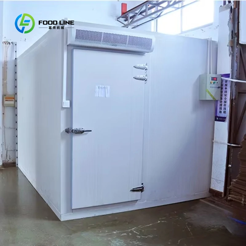 Hot Sale Customized 40㎡ Cold Room - Commercial Cooling Room for Fish Storage & Preservation