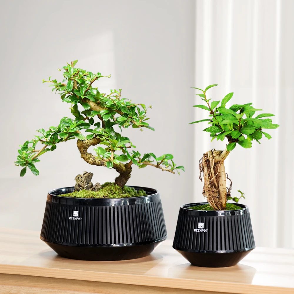 Meshpot Bonsai Pots with Drainage Tray and Excellent Airflow Plastic Bonsai  Tree Pot with Air-Pruning, Large Bonsai Large Bonsai - AliExpress 15