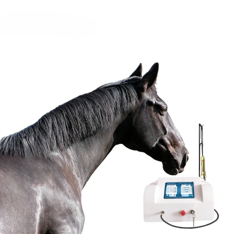 Surgical Laser Veterinary Semiconductor  Therapy Instrument for Animals