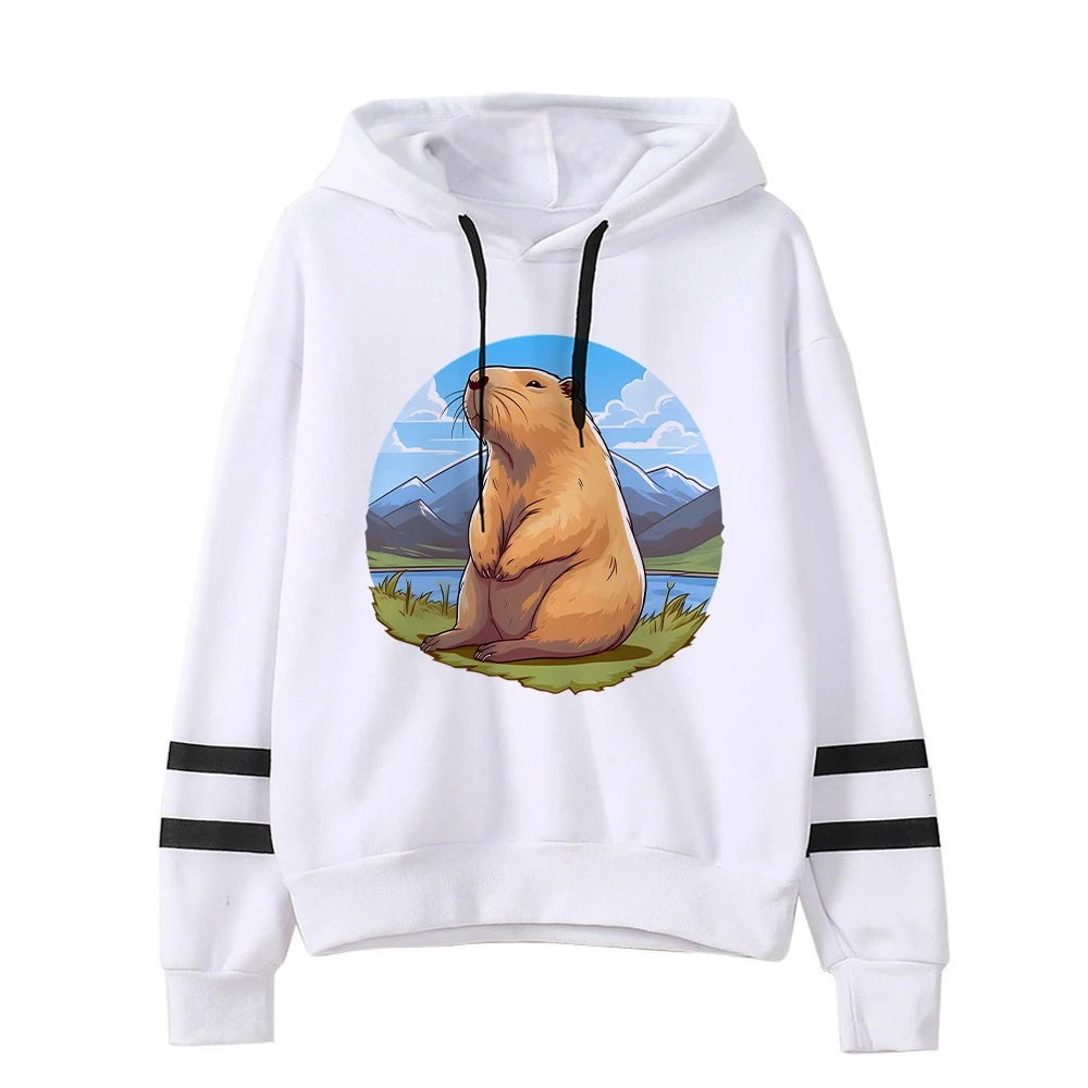 Sudadera con capucha con estampado de Capybara Drinks Boba, sudaderas con capucha con gráficos de dibujos animados divertidos, moda japonesa, camisetas informales de manga larga con capucha para mujer, jerséis