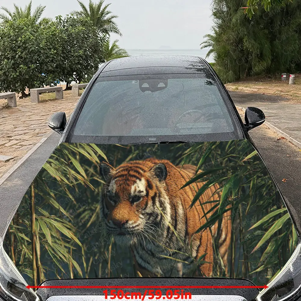 Artistic Jungle Tiger Car Hood Stickers - Self-Adhesive, Waterproof and Durable Vinyl Wrap, Decorate And Protect Your Car - The
