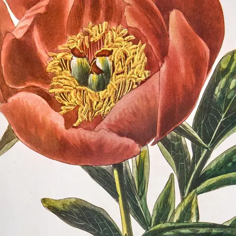 6 best sales 3 पीस दीवार कला - №6