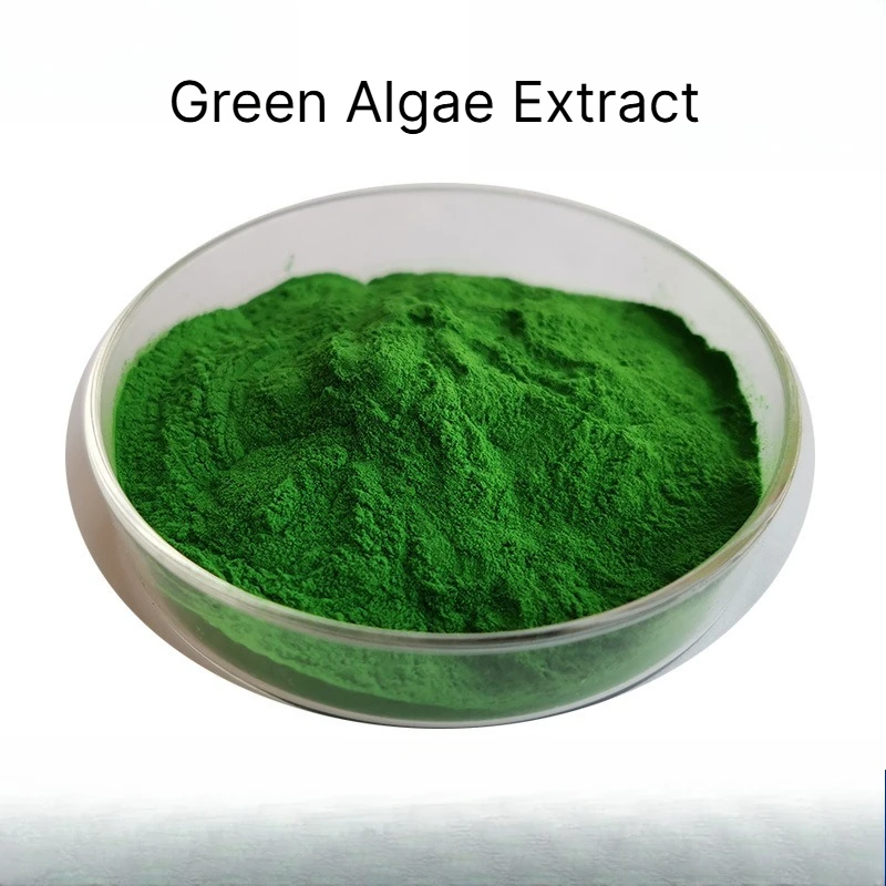 Green Algae Extract Seaweed Extract Dark Green 1kg Organic Fertilizer Plant Maintenance Gardening Flower Fertilizer Composition