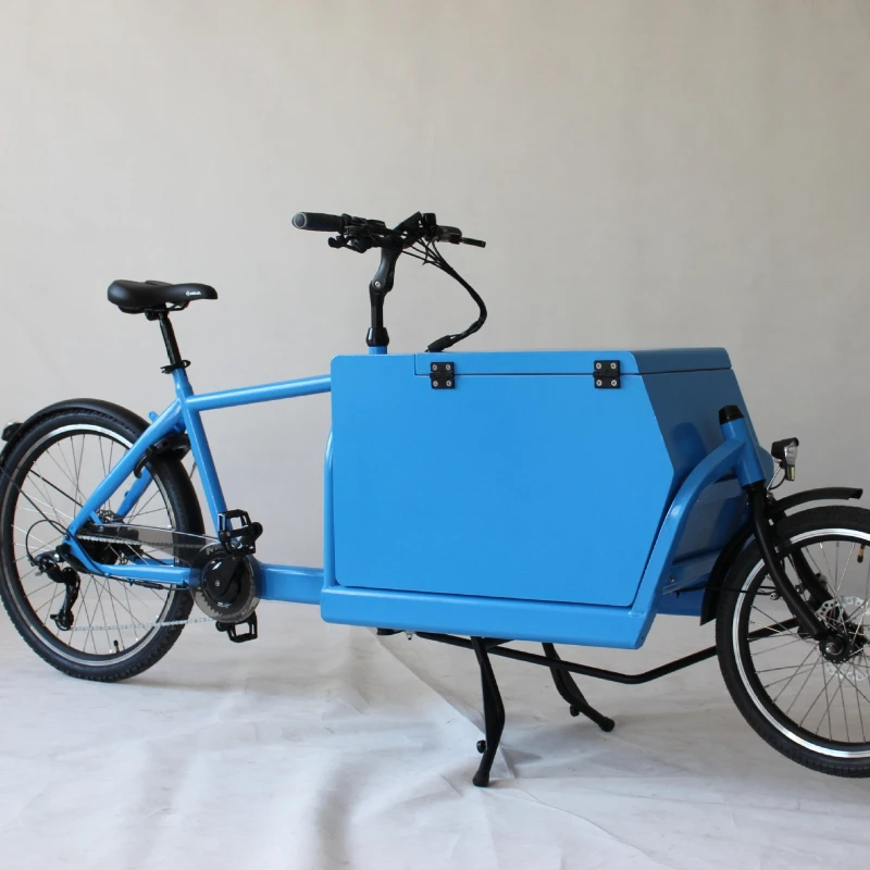 Bicicletta da asporto Cargo Express