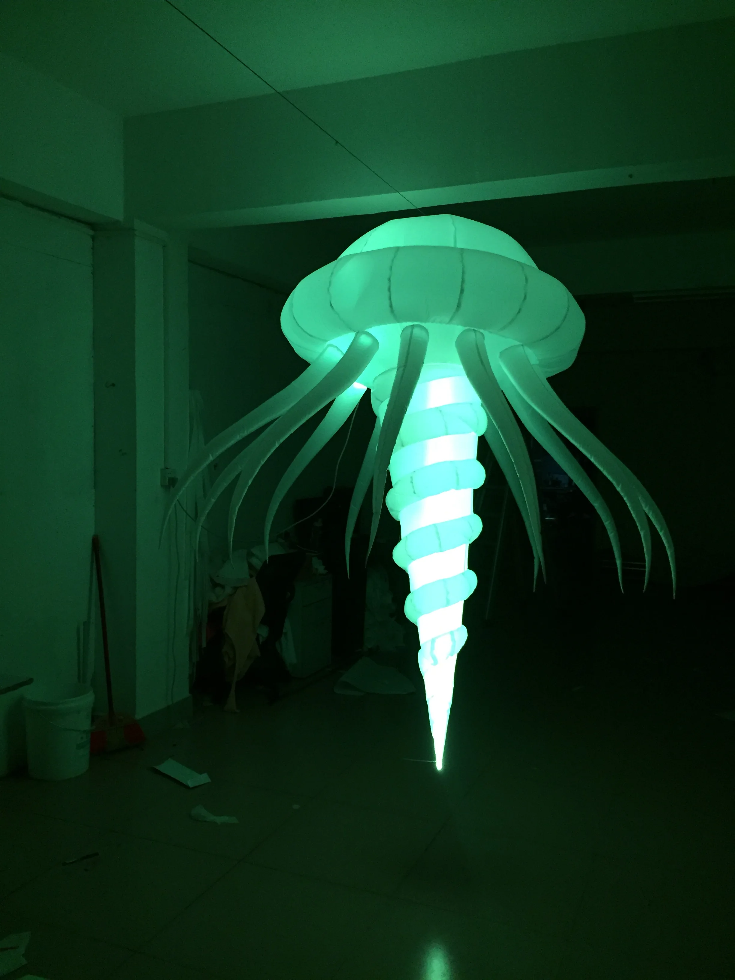 

Eye-catching Hanging Inflatable Jellyfish Model Inflatable Jellyfish LED Lighting Decoration