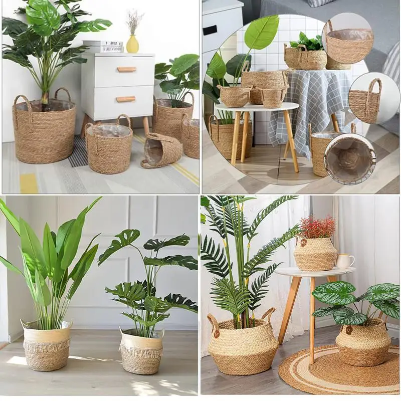 What is a Cache Pot? A Comprehensive Guide to Choosing, Styling, and Buying the Perfect Cache Pot for Your Home
