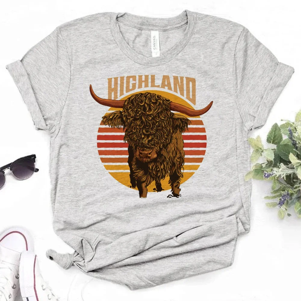 Y2k Short Sleeves Sunmmer T Shirt Highland Cow Tops Women Japanese T-shirts Female Harajuku Clothing Female Casual Cotton Tee